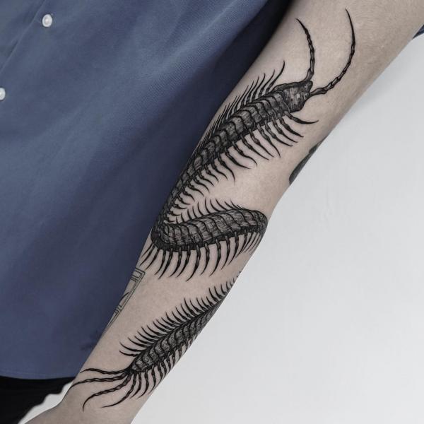 60 Centipede Tattoo Designs With Meaning | Art and Design